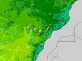 Temperature In Gran Canaria Now Green Canary Gran Canaria Holidays